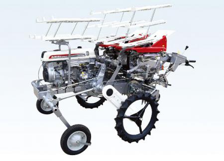 全自(zì)動洋蔥缽苗移栽機(jī)