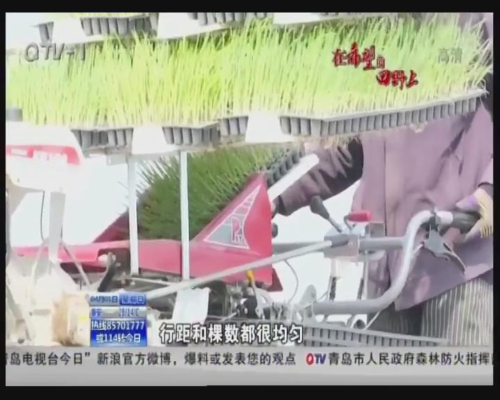 在希望的(de)田野上(shàng)：一(yī)年(nián)之計(jì)在...